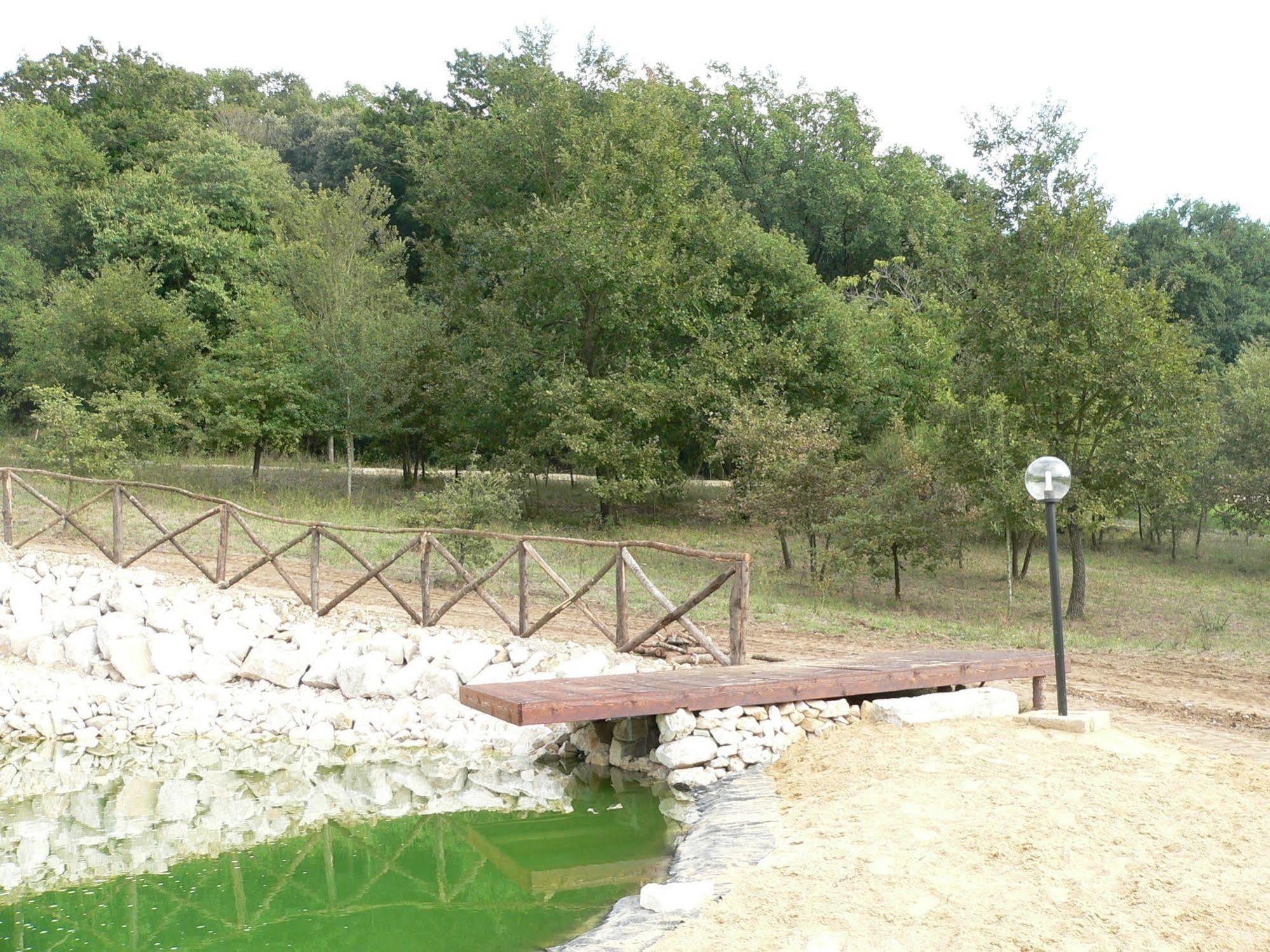 פיומיצ'ינו Agriturismo Il Casale Delle Ginestre מראה חיצוני תמונה